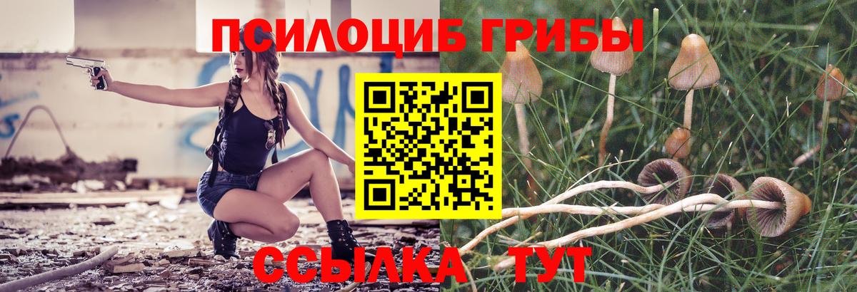 Саянск  Псилоцибиновые грибы мухоморы  Вход с VPN 